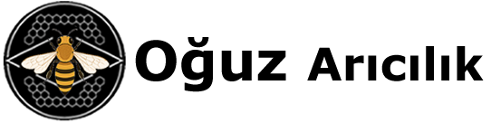 oguz-aricilik